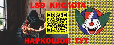прущие грибы Кунгур