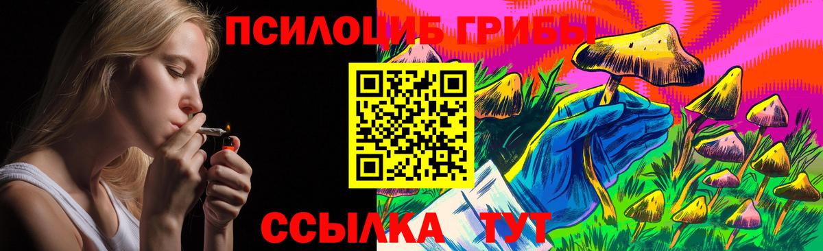 Гай  Псилоцибиновые грибы Cubensis  Вход с VPN  Псилоцибиновые грибы MAGIC MUSHROOMS 