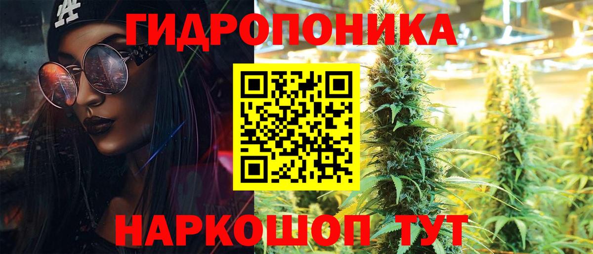 Гай  МАРИХУАНА конопля  Бошки марихуана планчик  Вход с VPN  Бошки марихуана план 